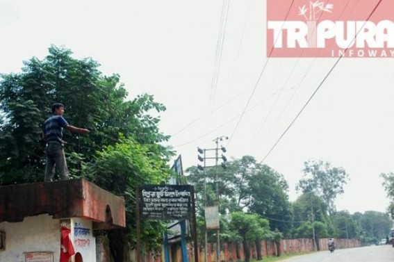 Electricity theft on rise: Jute Mill Industry using hook lines for power connection Electricity theft on rise: Jute Mill Industry using hook lines for power connection